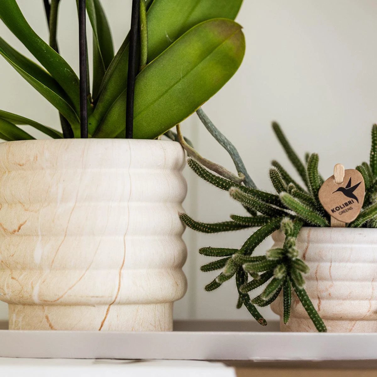 Kolibri Home | Combi deal - Marble Light potten by Kolibri Company