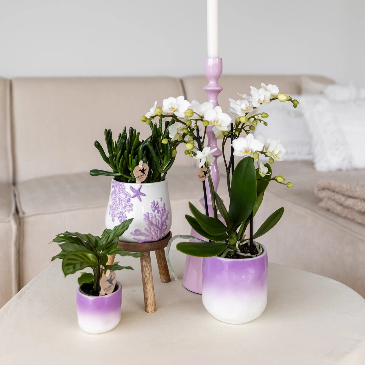 Kolibri Home | Coral - Lilac - Ø9cm by Kolibri Company
