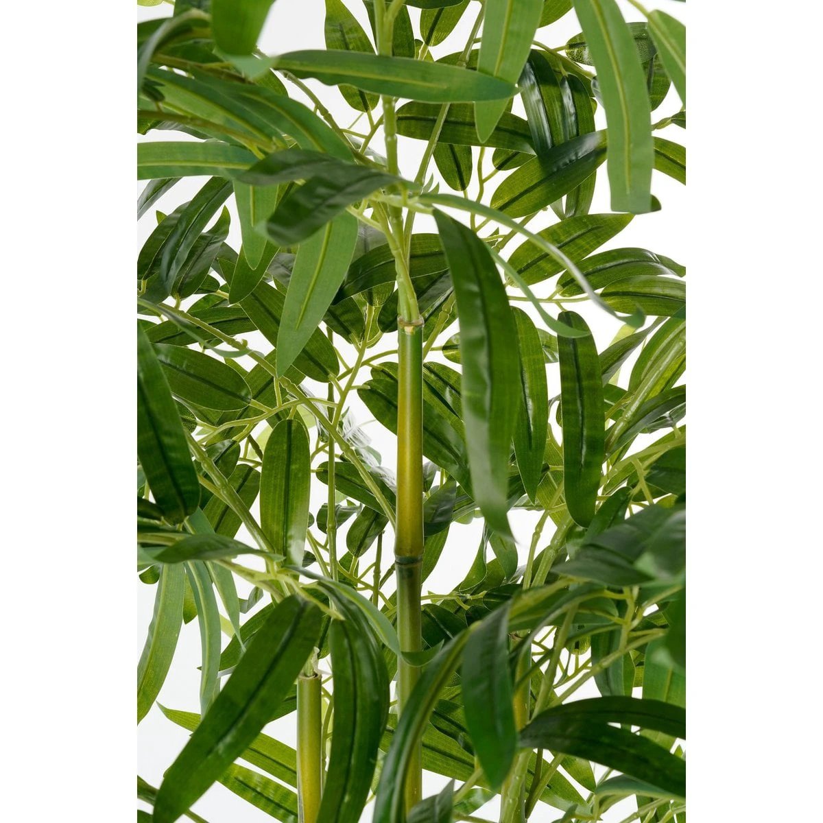 Artificial plant Green by Mica Decorations