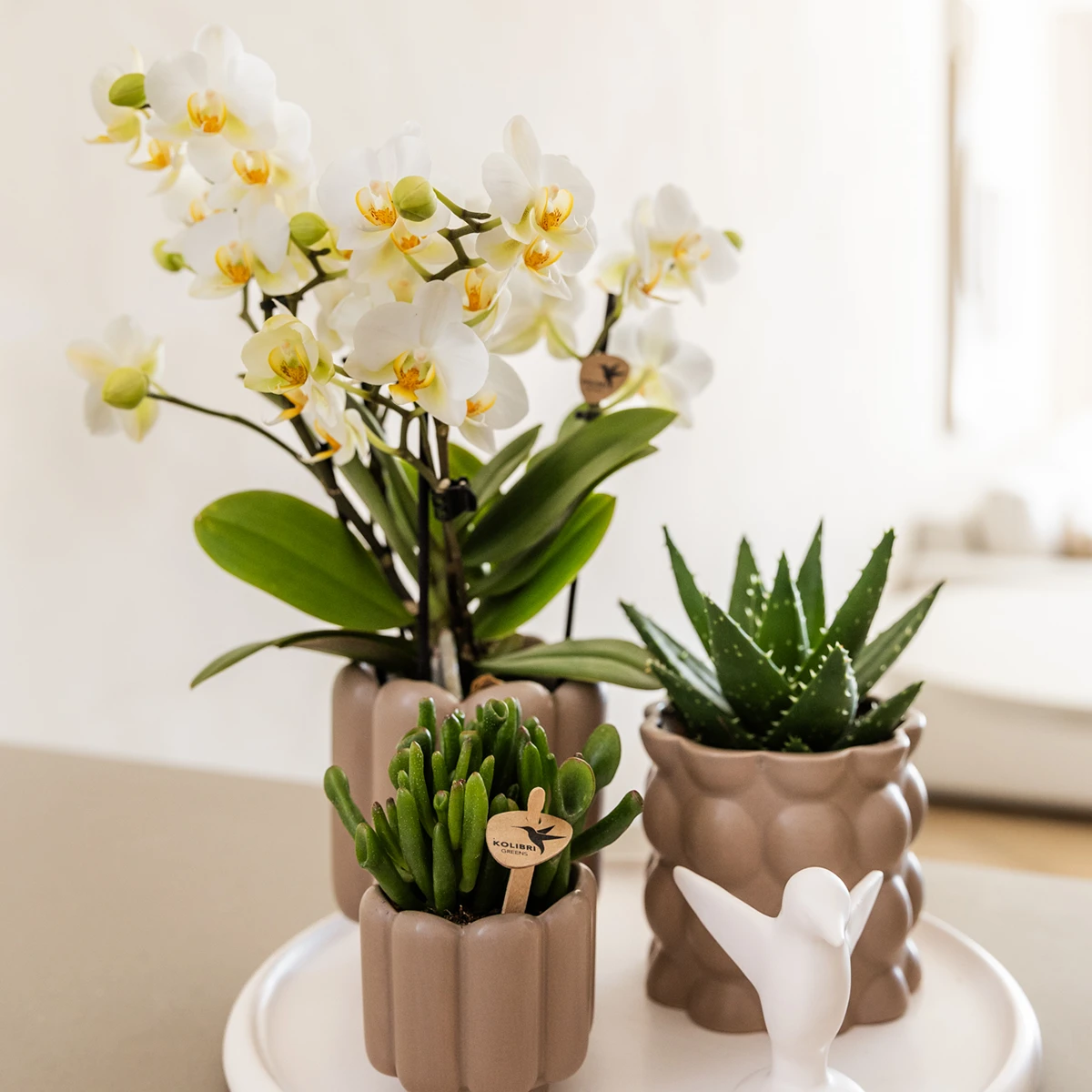 Kolibri Home | Retro Sierpot - Sand - Ø6cm by Kolibri Company