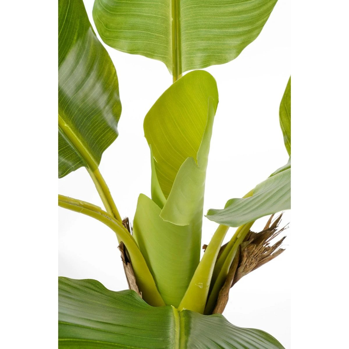 Artificial plant Green by Mica Decorations