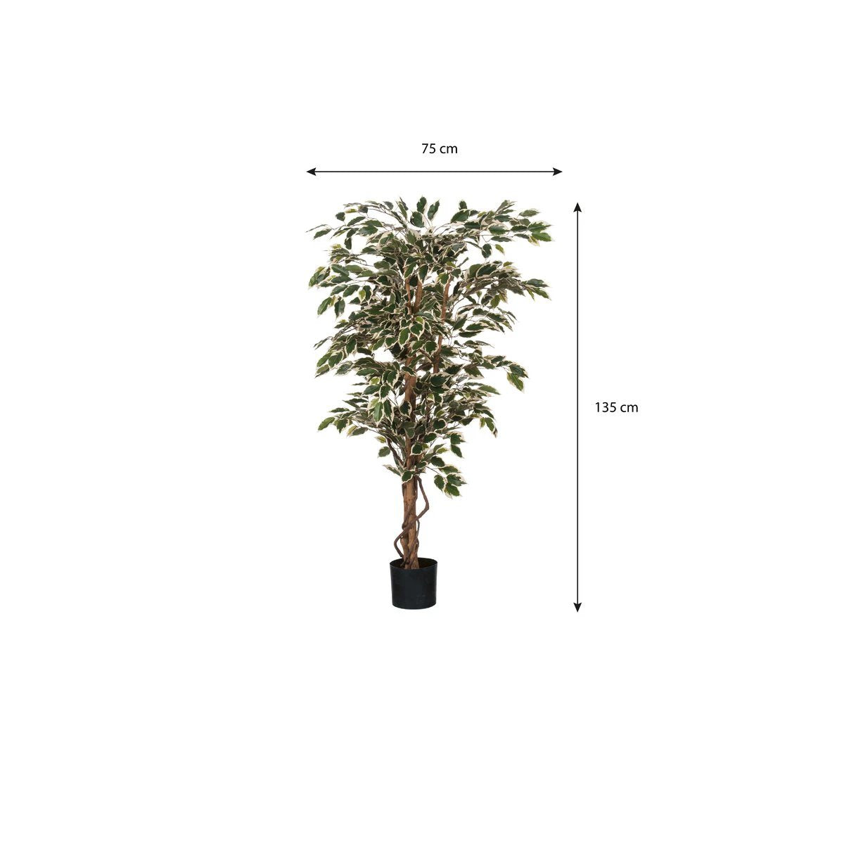 Artificial plant Ficus Green by Mica Decorations