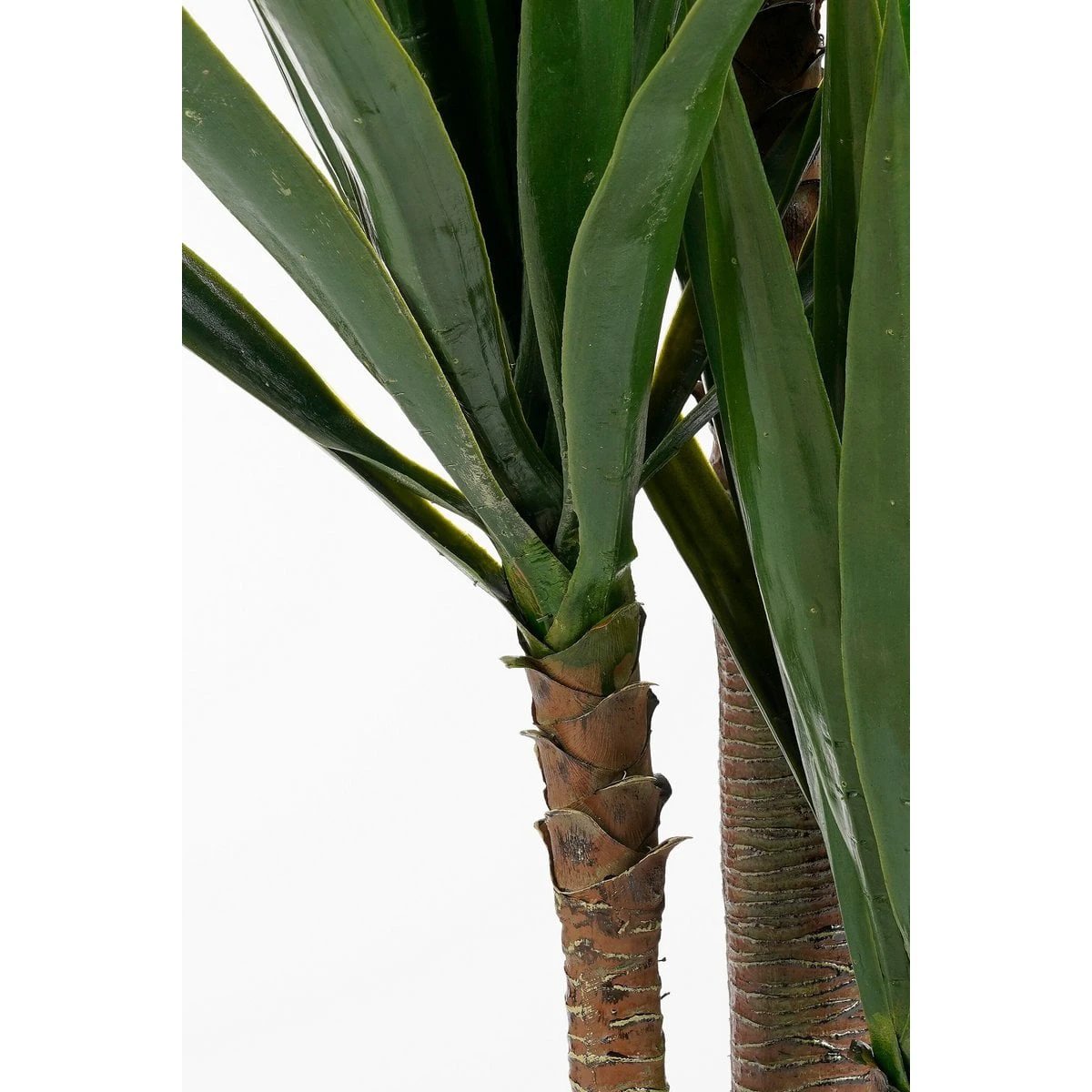 Kunstplant Yucca Cream by Mica Decorations