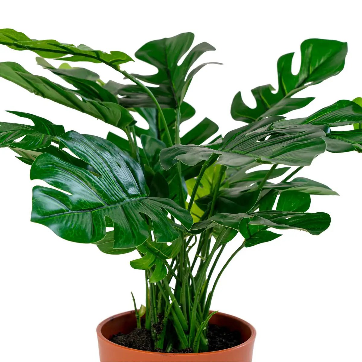 Monstera - Green, PE Plastic/Polyester/Wire/Cement, 40x40x45 cm by EMIRELLE