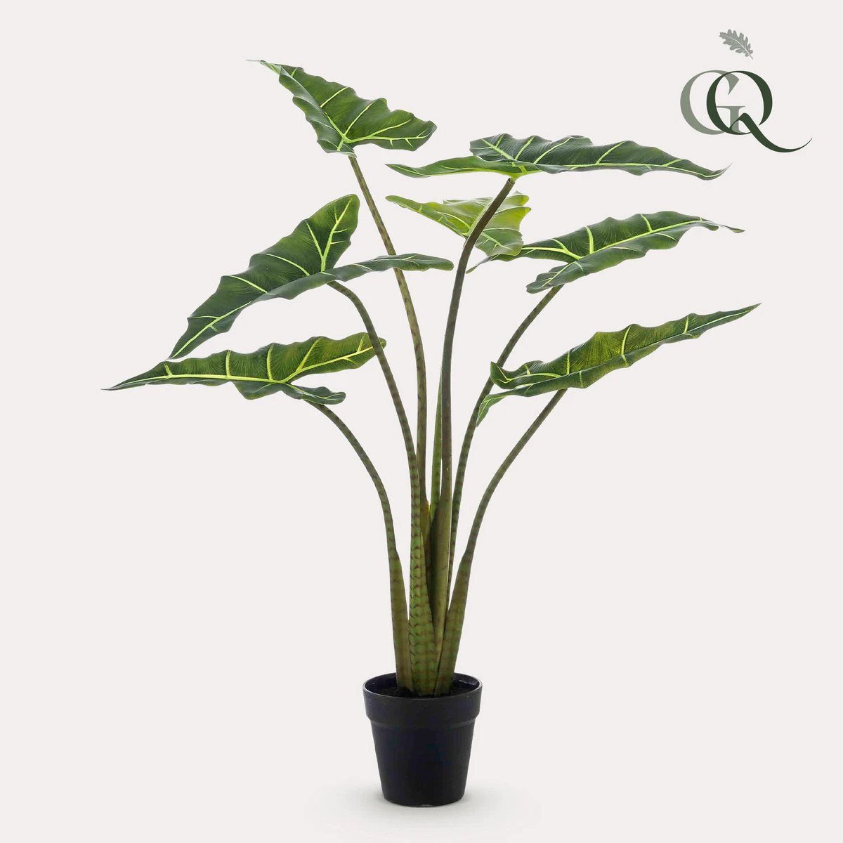 Künstliche Pflanze – Alocasia Frydek – Elefantenohr – 100 cm von Green boutiQ