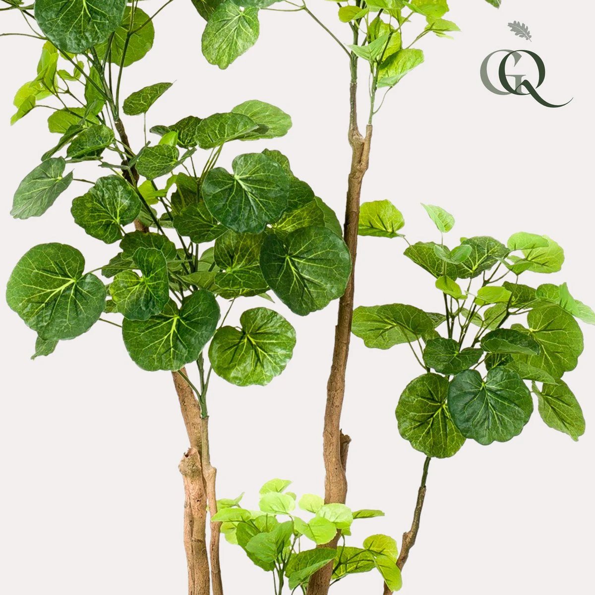 Kunstplant - Polyscias - Aralia - 135 cm by Green boutiQ
