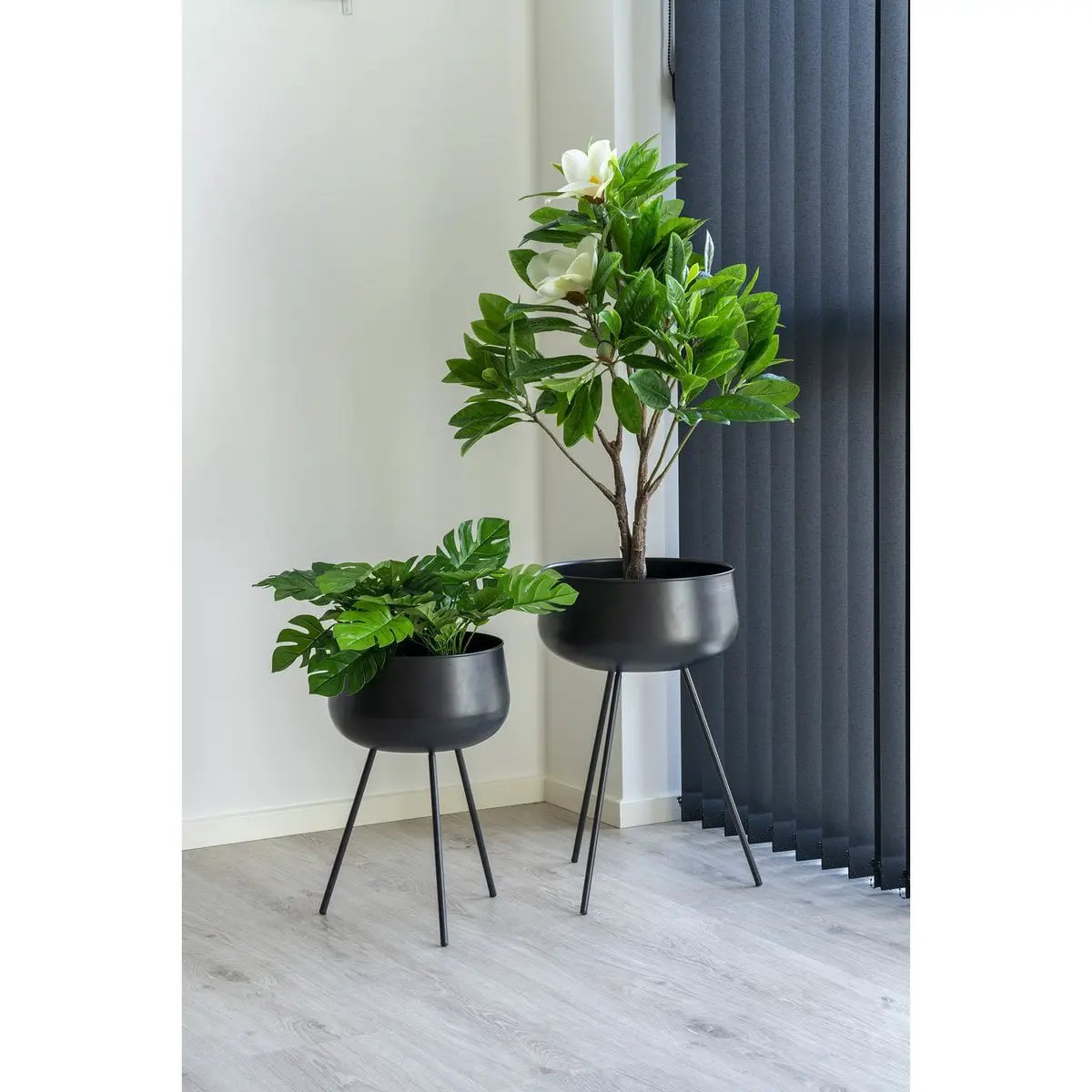 Monstera - Green, PE Plastic/Polyester/Wire/Cement, 40x40x45 cm by EMIRELLE