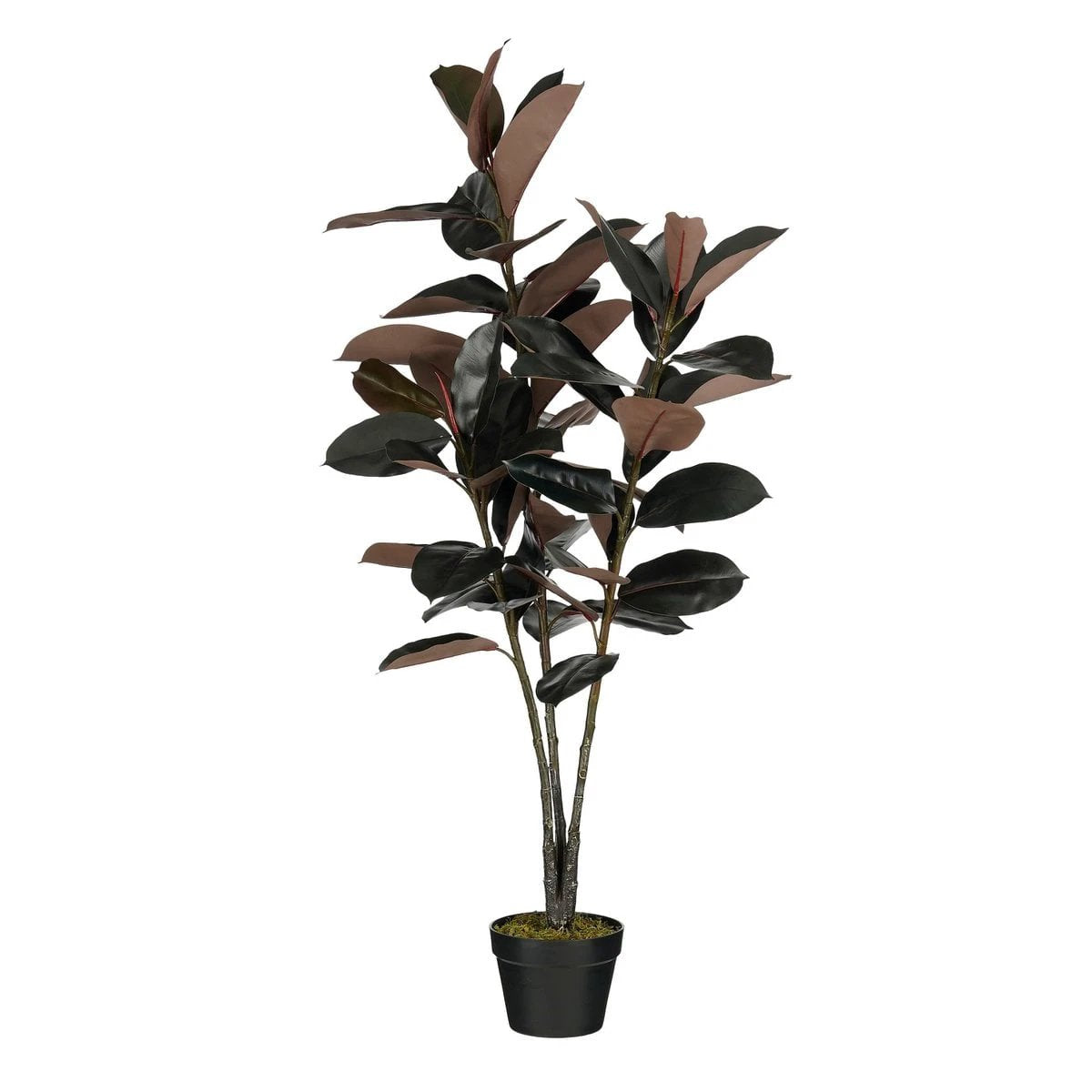 Artificial plant Rubber plant Red by Mica Decorations