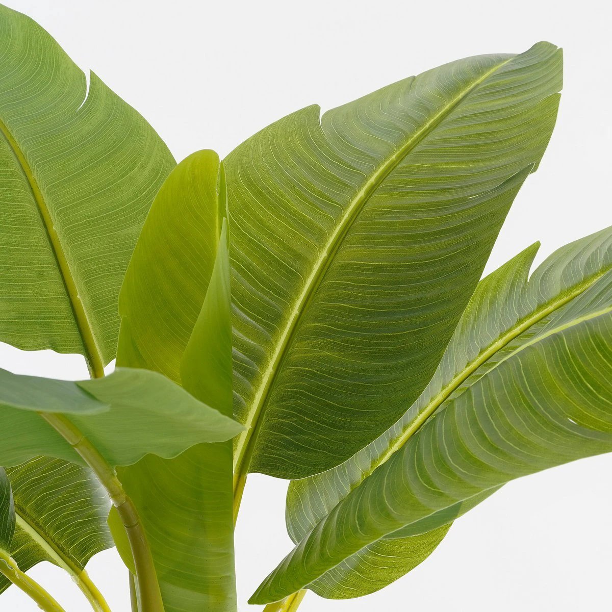 Artificial plant Green by Mica Decorations