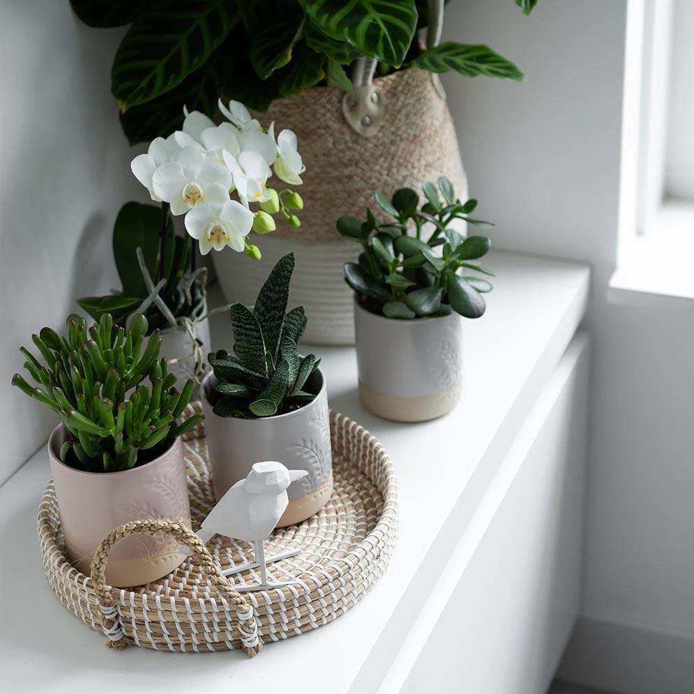 Hummingbird Home | Decorative bowl - White woven tray Ø30cm by Kolibri Company
