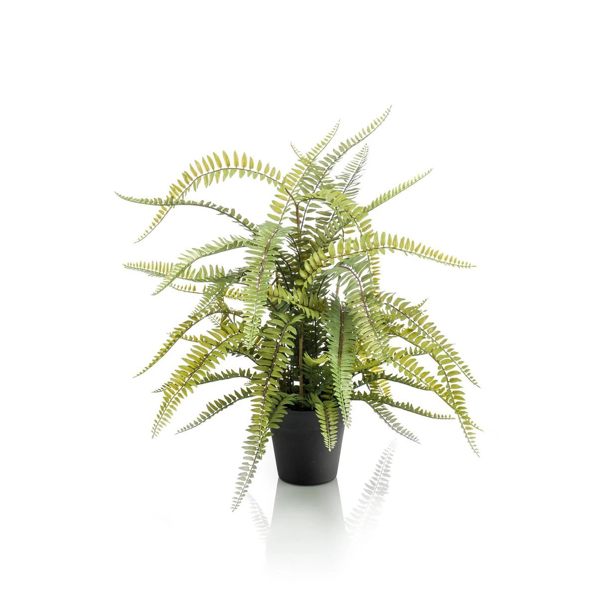 Kunstpflanze – Nephrolepis exaltata – Boston-Farn – 70 cm von Green boutiQ