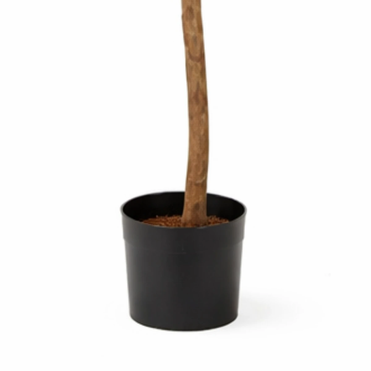 Artificial plant Ficus Green by Mica Decorations