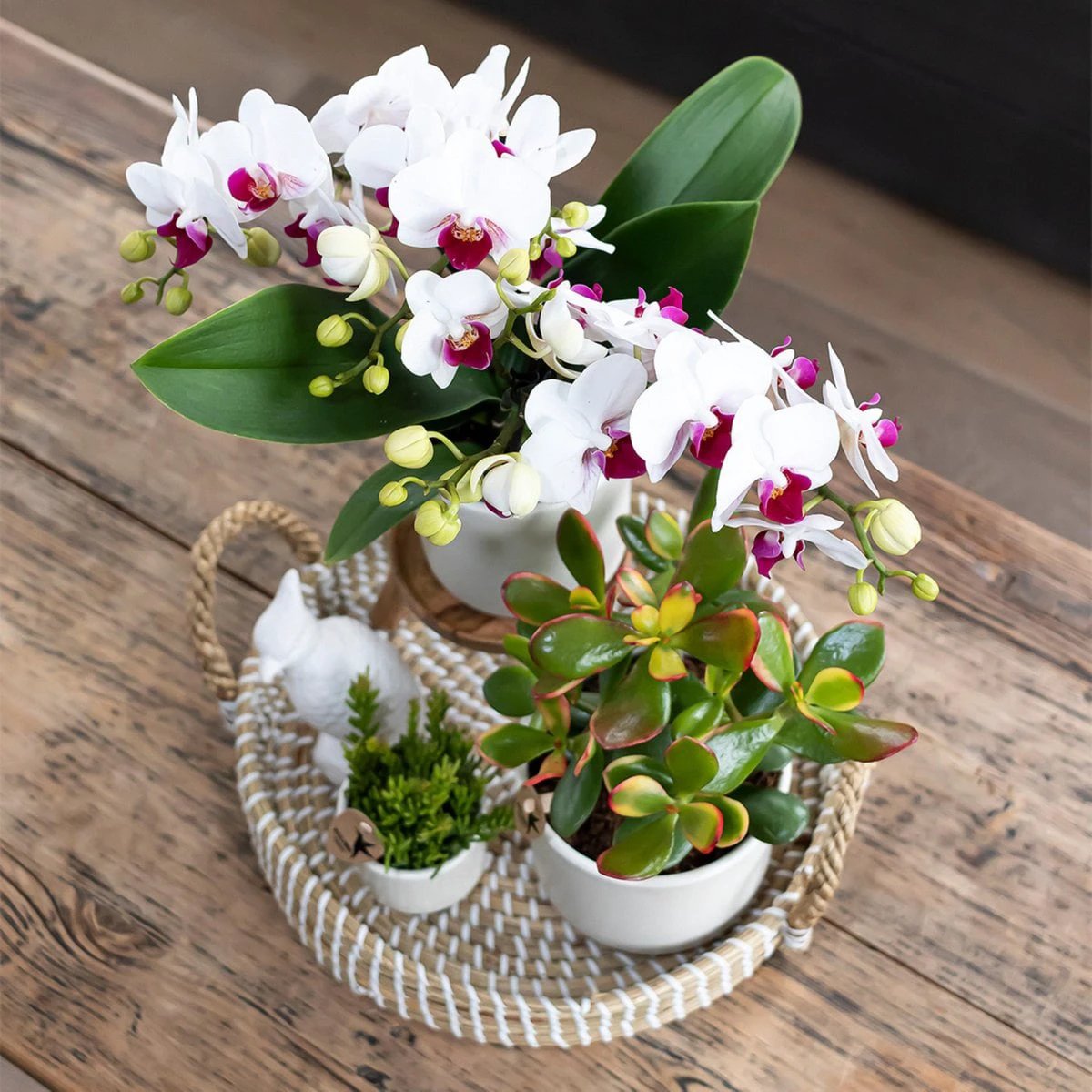 Hummingbird Home | Decorative bowl - White woven tray Ø30cm by Kolibri Company