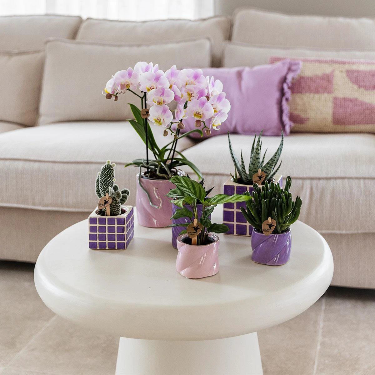 Kolibri Home | Candy sierpot - Pink - Ø6cm by Kolibri Company