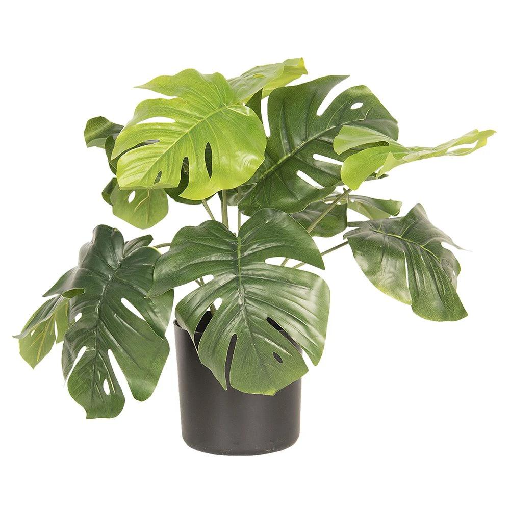 Decoration plant Monstera Deliciosa 42x42x40 cm by Clayre & Eef.
