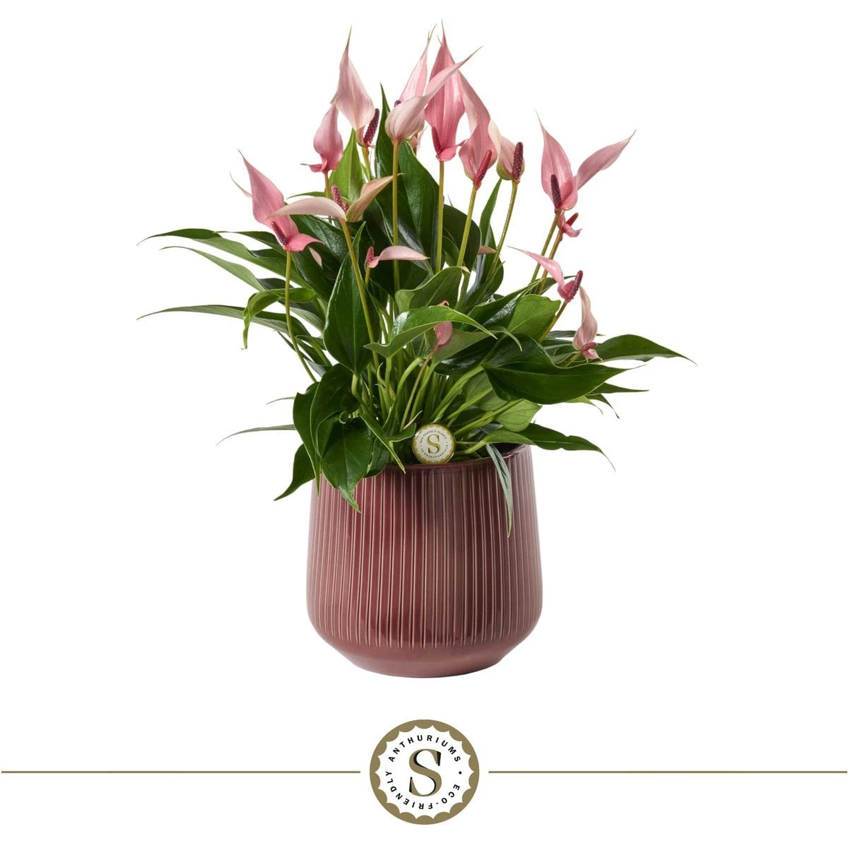 Burgundy flowers by Blooming Luxury