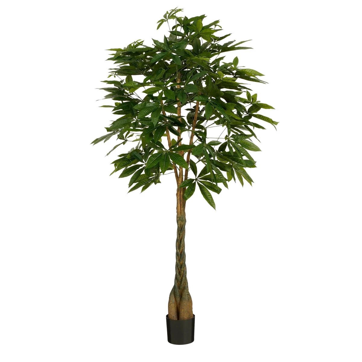 Artificial plant Pachira Green by Mica Decorations