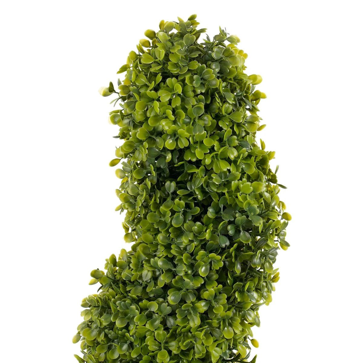 Artificial plant Boxwood Green by Mica Decorations