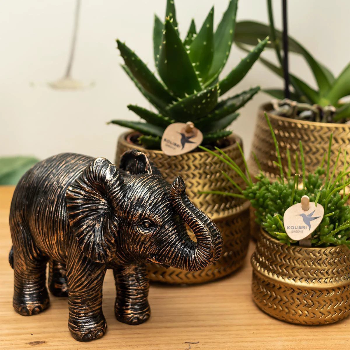 Kolibri Home | Groove Flowerpot - Golden Ceramic Sierpot - Pot size - Ø12cm by Kolibri Company