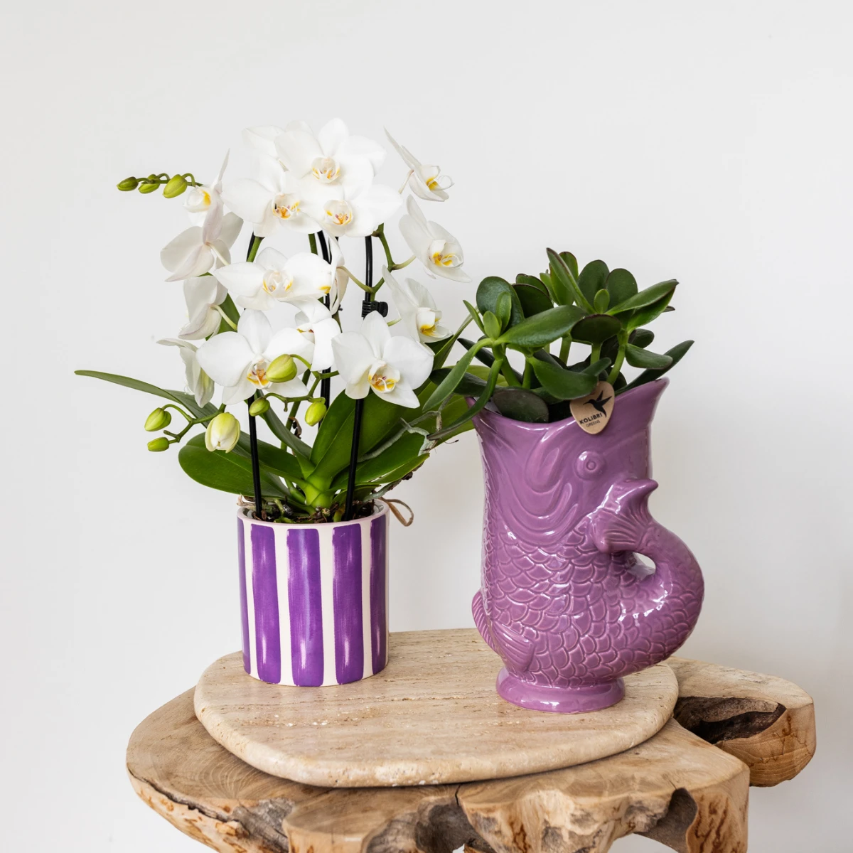Hummingbird Home | Fish - Lilac - Ø9cm by Kolibri Company