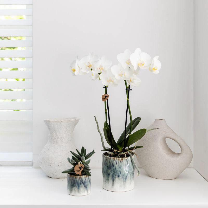 Hummingbird Home | Sky-Topf – Ø9 cm von Kolibri Company
