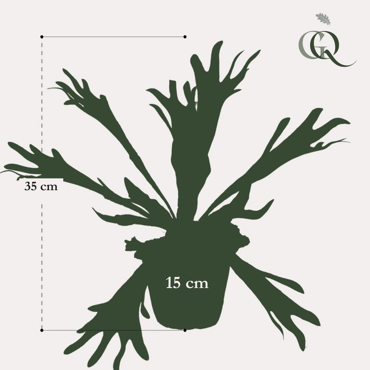 Kunstpflanze – Hirschhornfarn – Hirschhorn – 33 cm von Green boutiQ