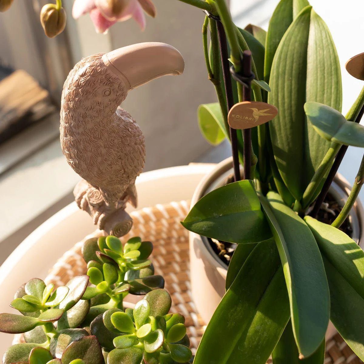 Hummingbird Home | Ornament - Decoration statue Toucan - Nude by Kolibri Company