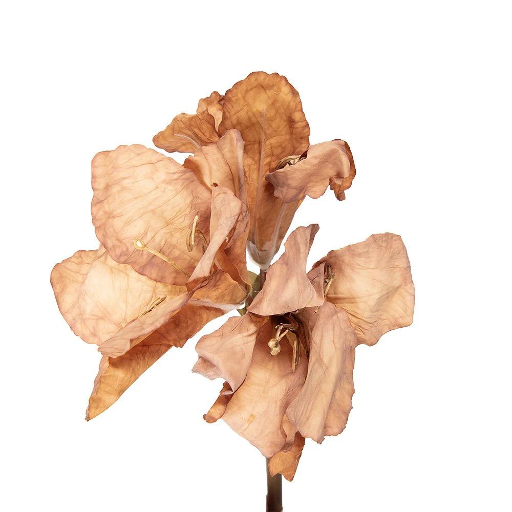 Artificial flower 65 cm Brown Plastic by Clayre & Eef.
