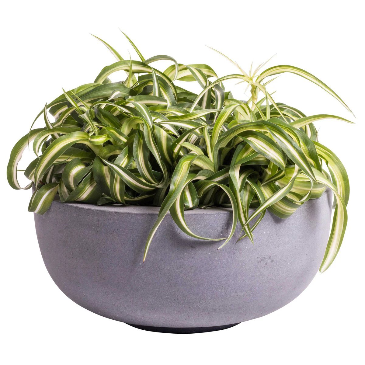 Plant pot - Ducos s Gray (set of 2 pieces) by Vase The World