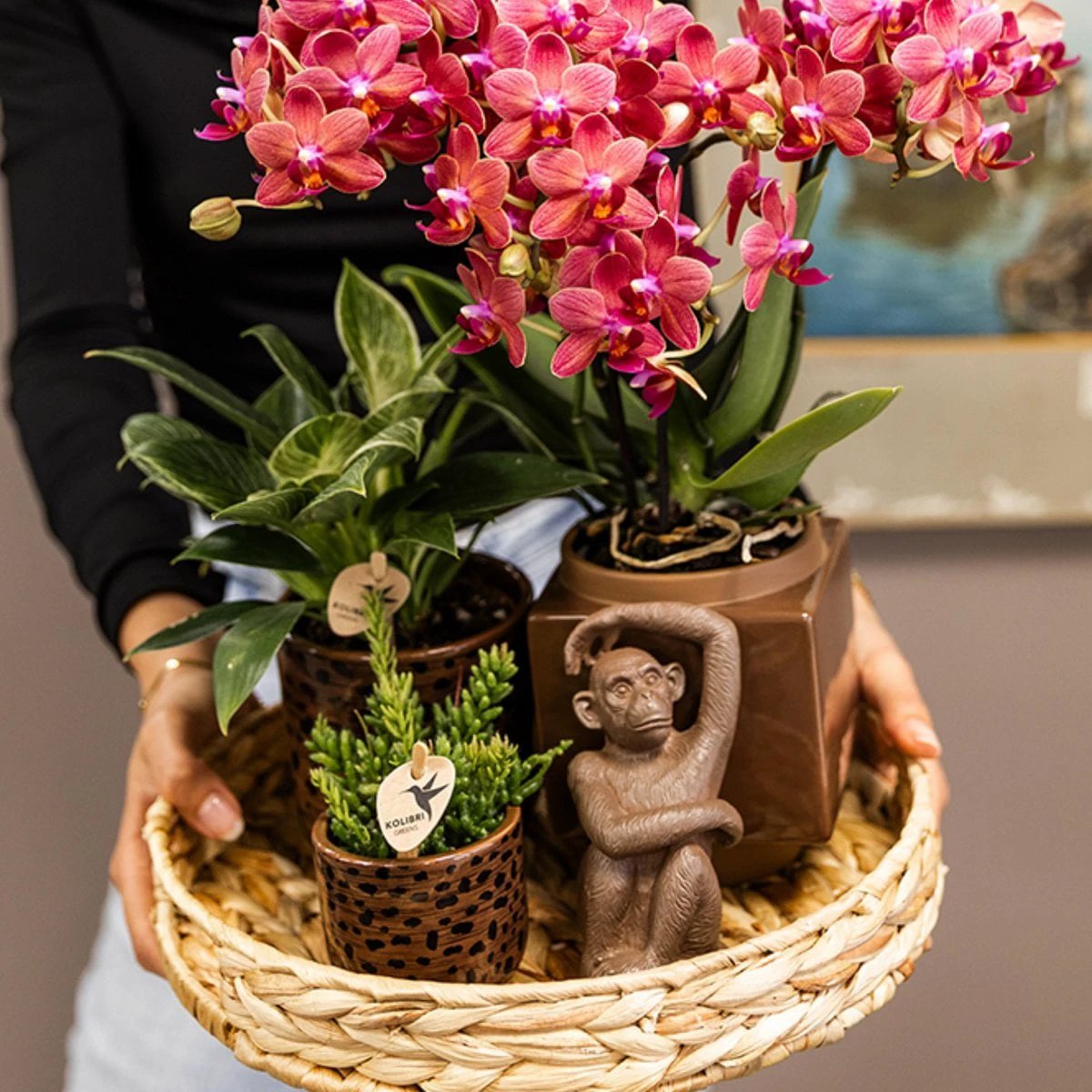 Hummingbird Home | Ornament - Decoration statue Sitting Monkey - Brown by Kolibri Company