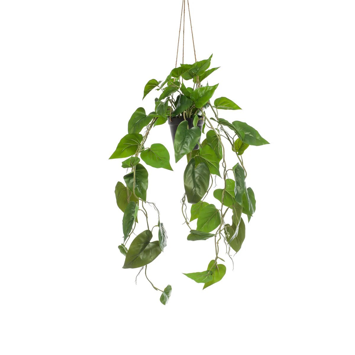 Kunstpflanze – Philodendron Scandens – Klima-Baumliebhaber – 80 cm von Green boutiQ