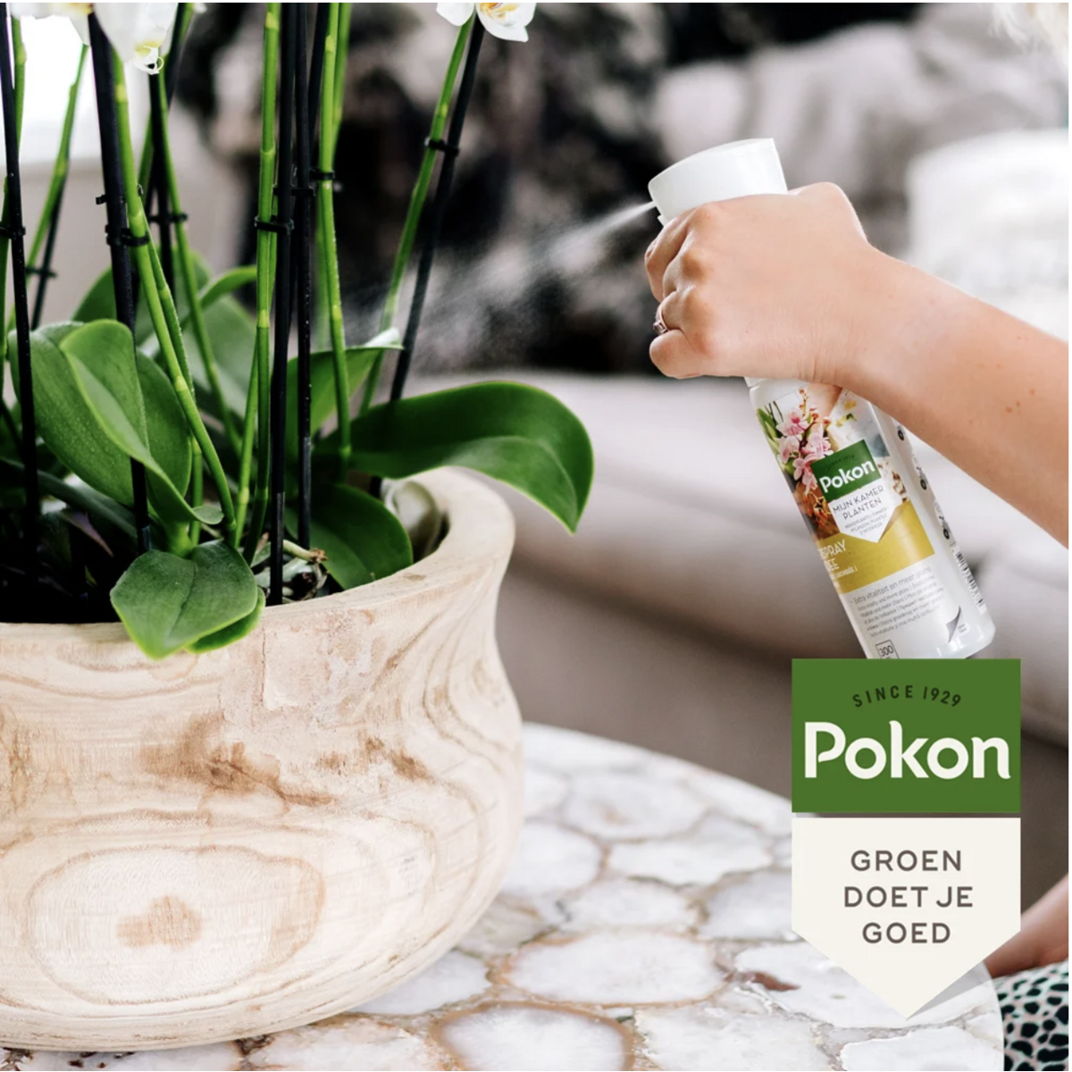 Pokon Powerspray orchidee 300 ml by Kolibri Company