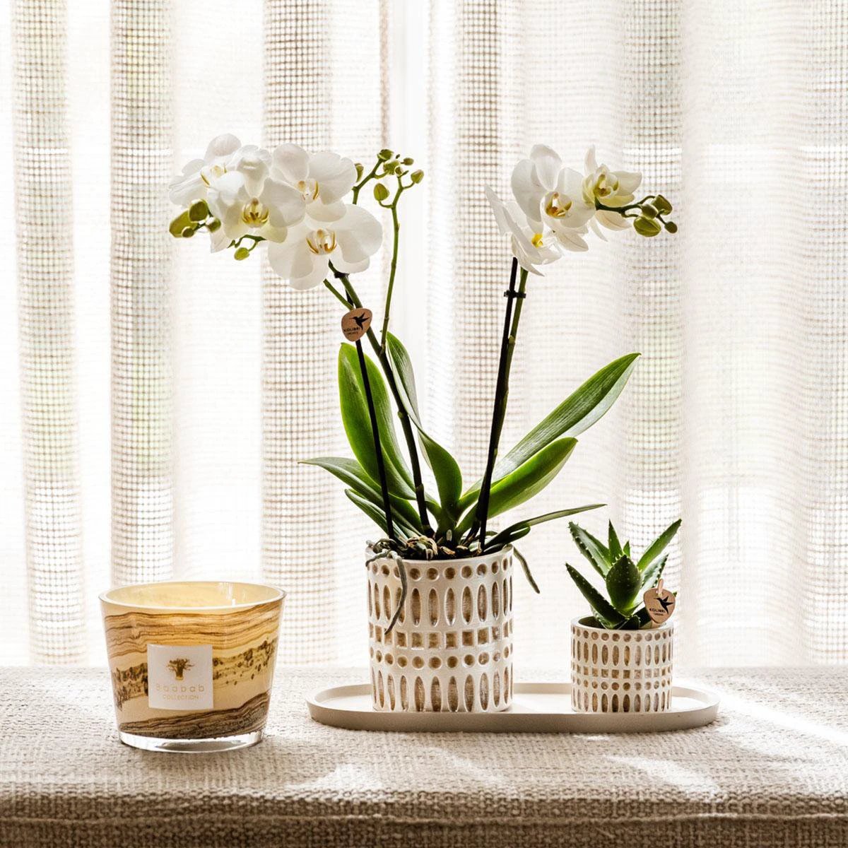 Kolibri Home | Mozaïek sierpot - Ø6cm by Kolibri Company