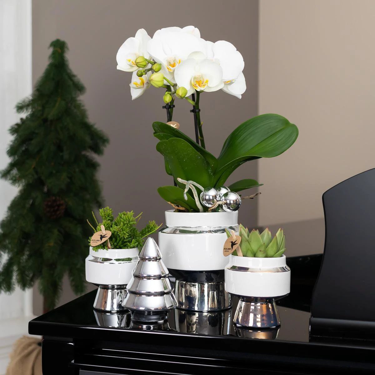 Hummingbird Home | Le Chic flower pot - White ceramic decorative pot with silver details - Ø9cm by Kolibri Company