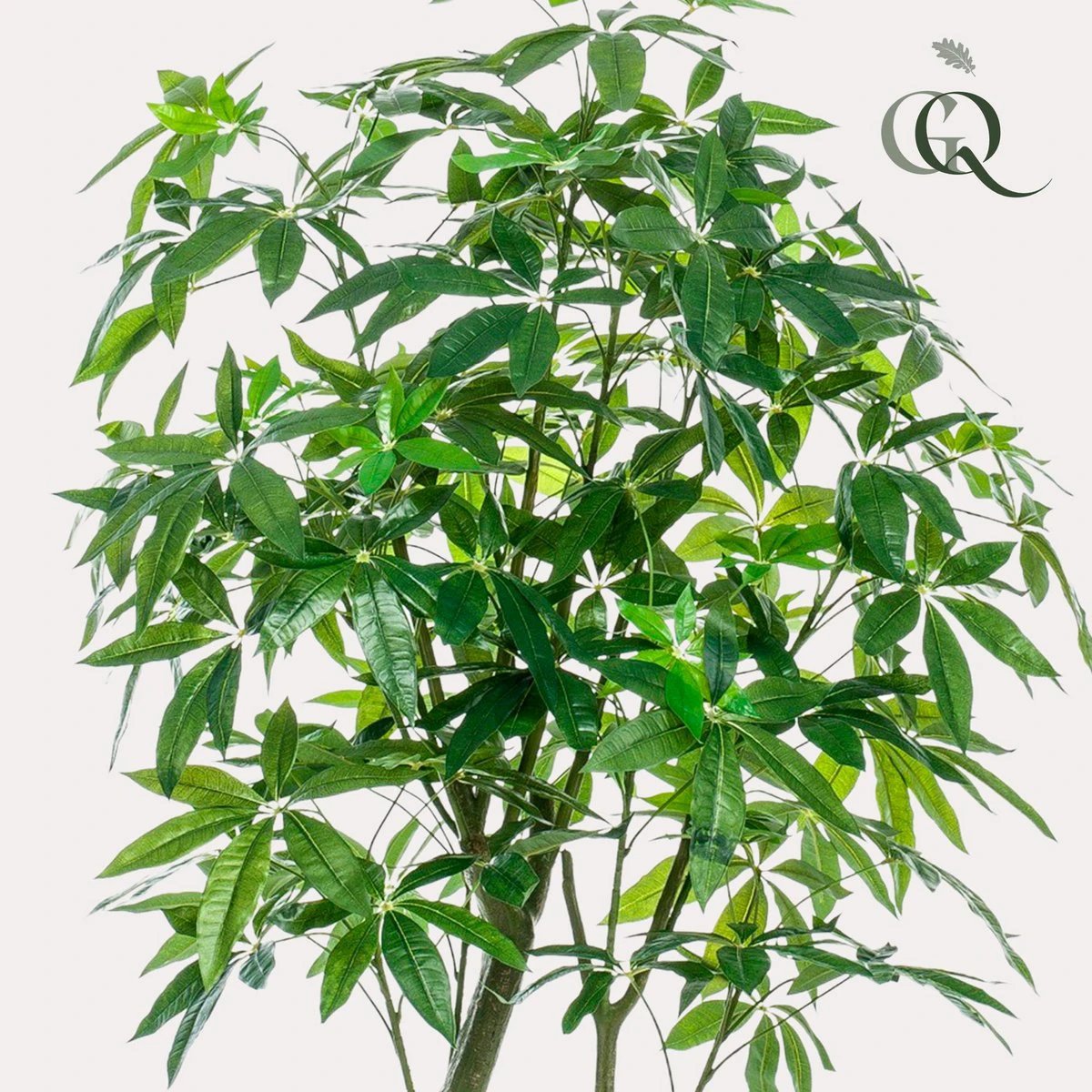 Artificial plant - Pachira Aquatica - Money tree - 180 cm by Green boutiQ