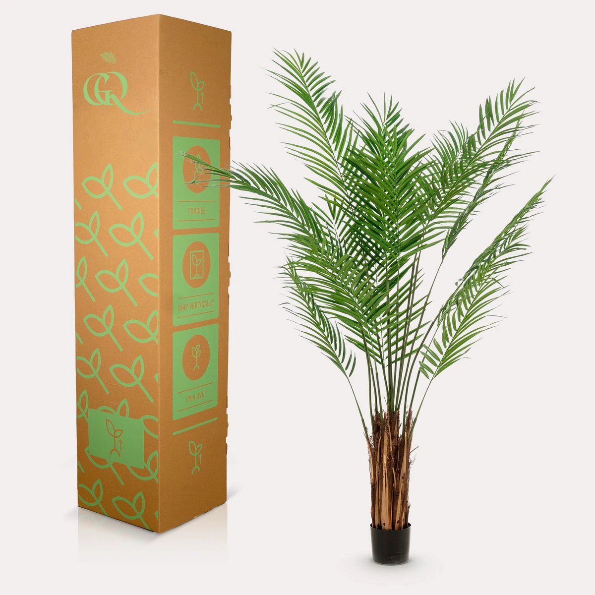 Art plant - Areca lutescens - Gold palm - 180 cm by Green boutiQ