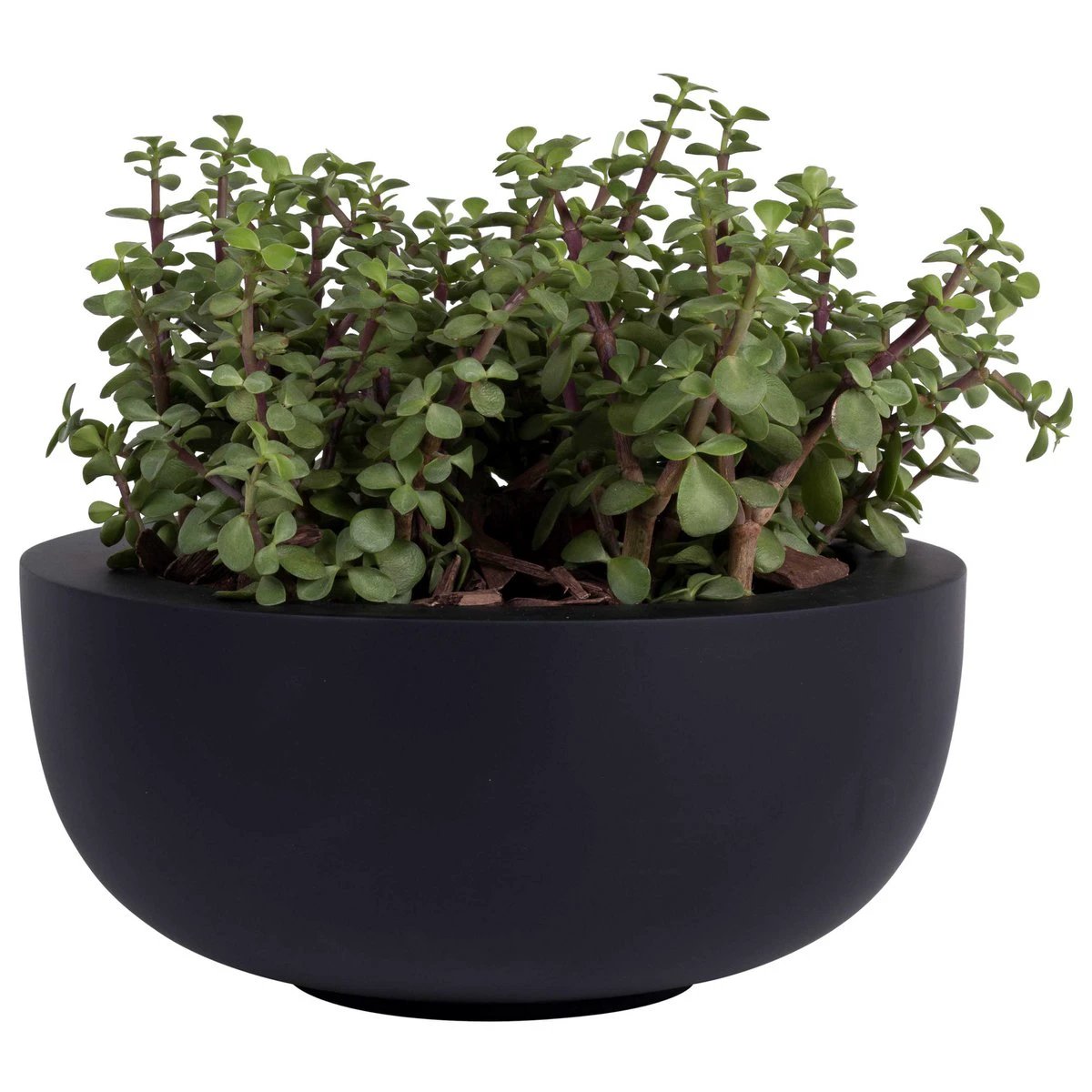 Plant pot - Ducos S Black (set of 2 pieces) by Vase The World