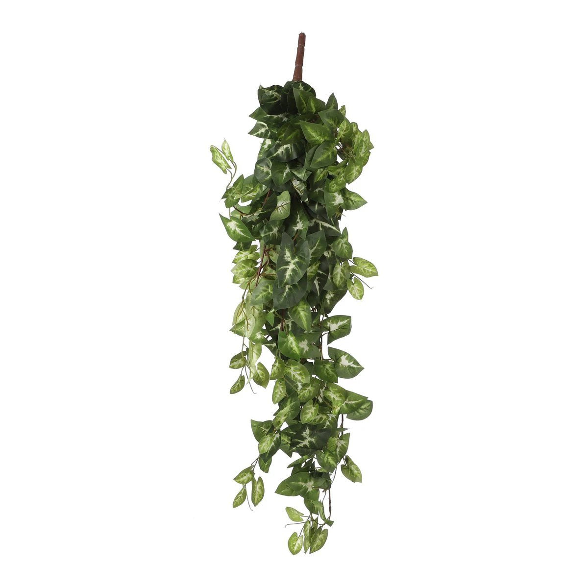 Artificial hanging plant Fittonia Green by Mica Decorations