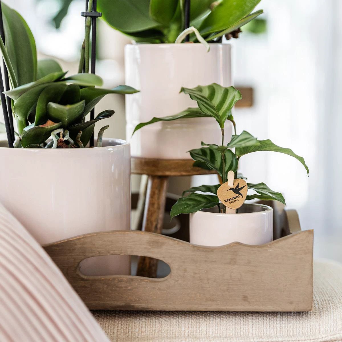 Hummingbird Home | Pastel pot pink - Ø9cm by Kolibri Company