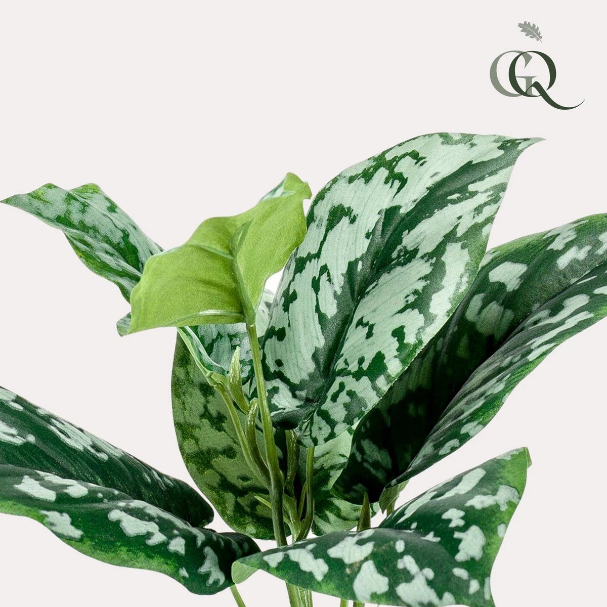 Artificial plant - Scindapsus Pictus - Lucky plant - 30 cm by Green boutiQ