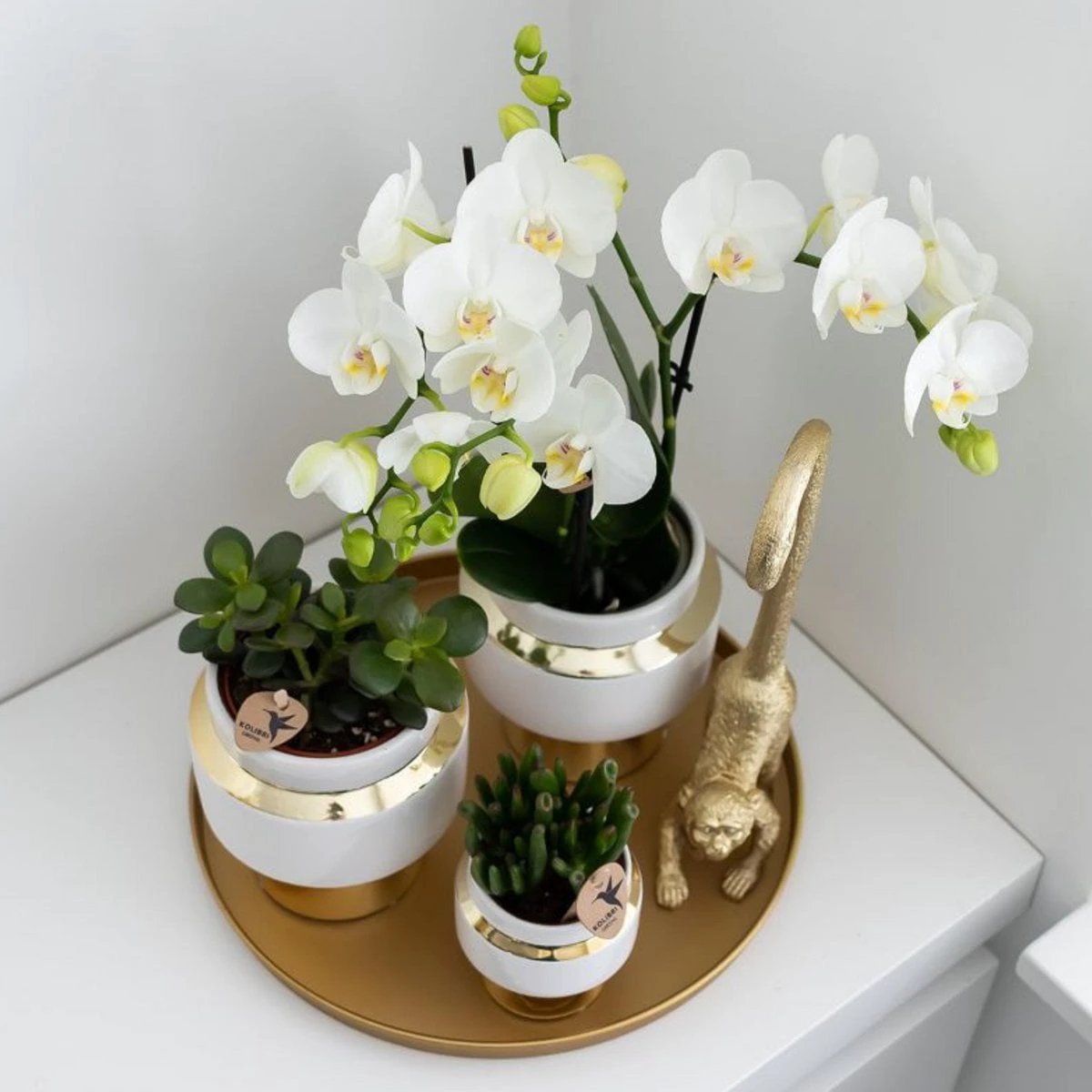 Hummingbird Home | Decorative bowl - Round gold tray Ø30cm by Kolibri Company
