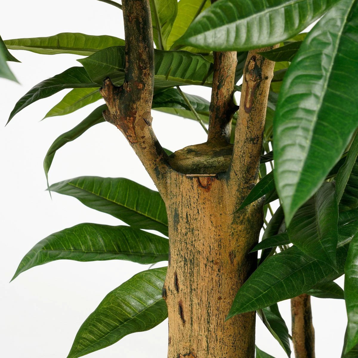Artificial plant Pachira Green by Mica Decorations