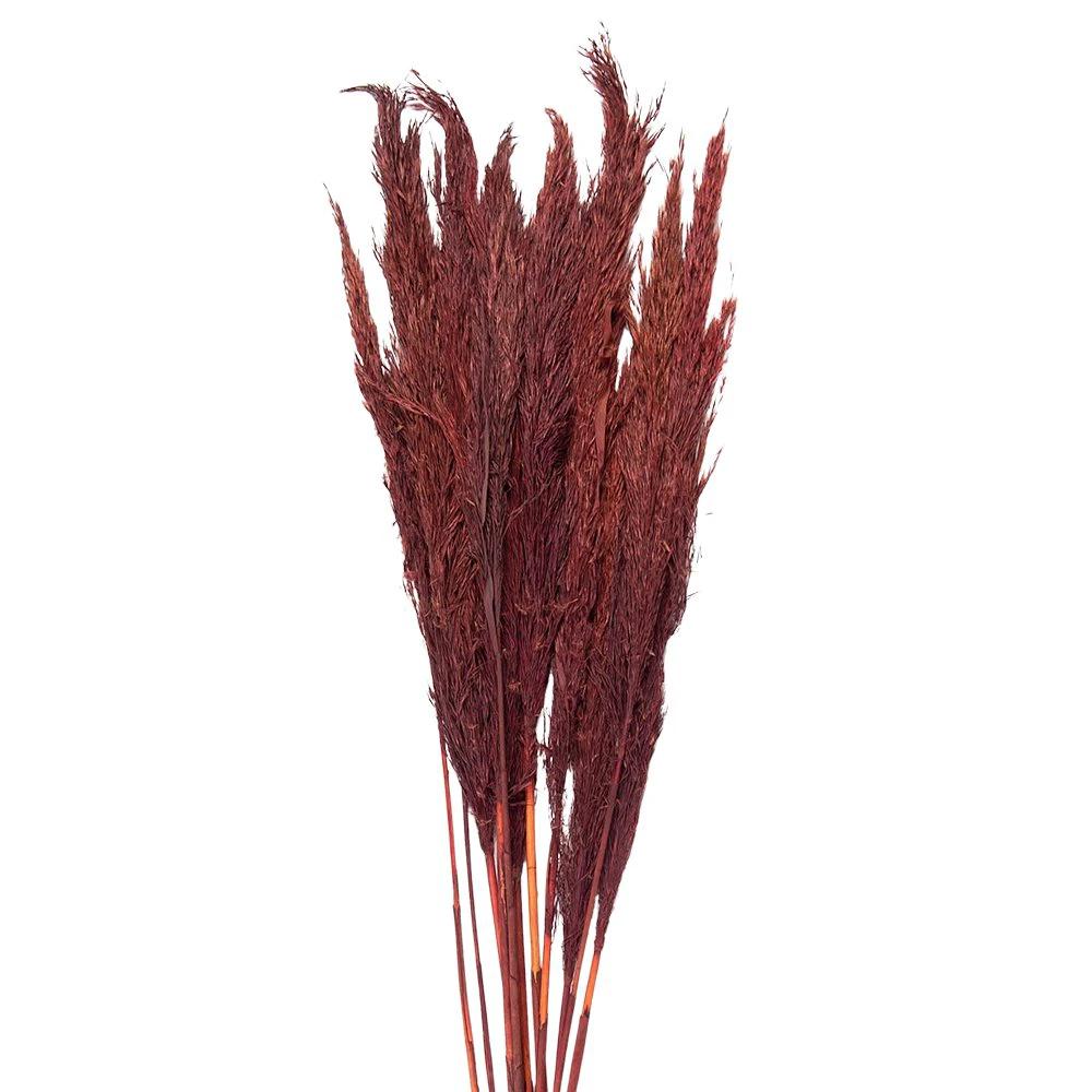 Dried flowers bamboo 100 cm (10) by Clayre & Eef.