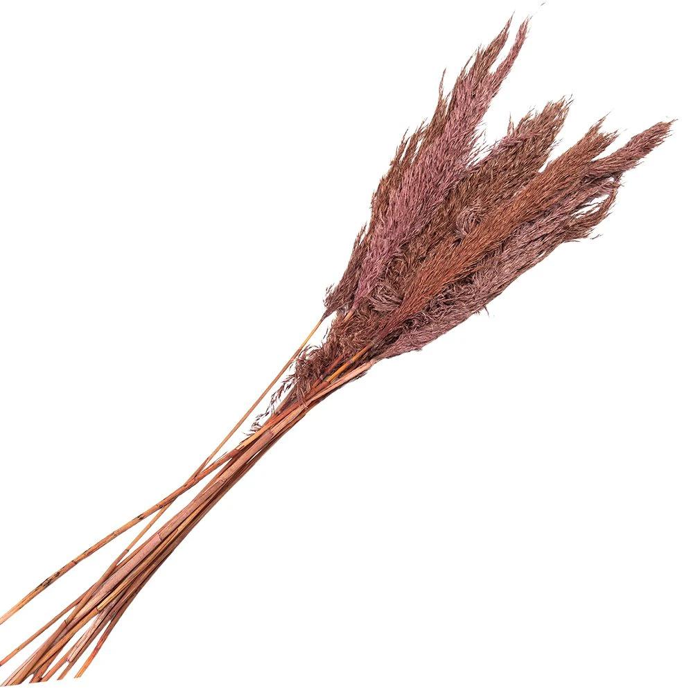 Getrocknete Blumen Bambus 100 cm (10) von Clayre & Eef.