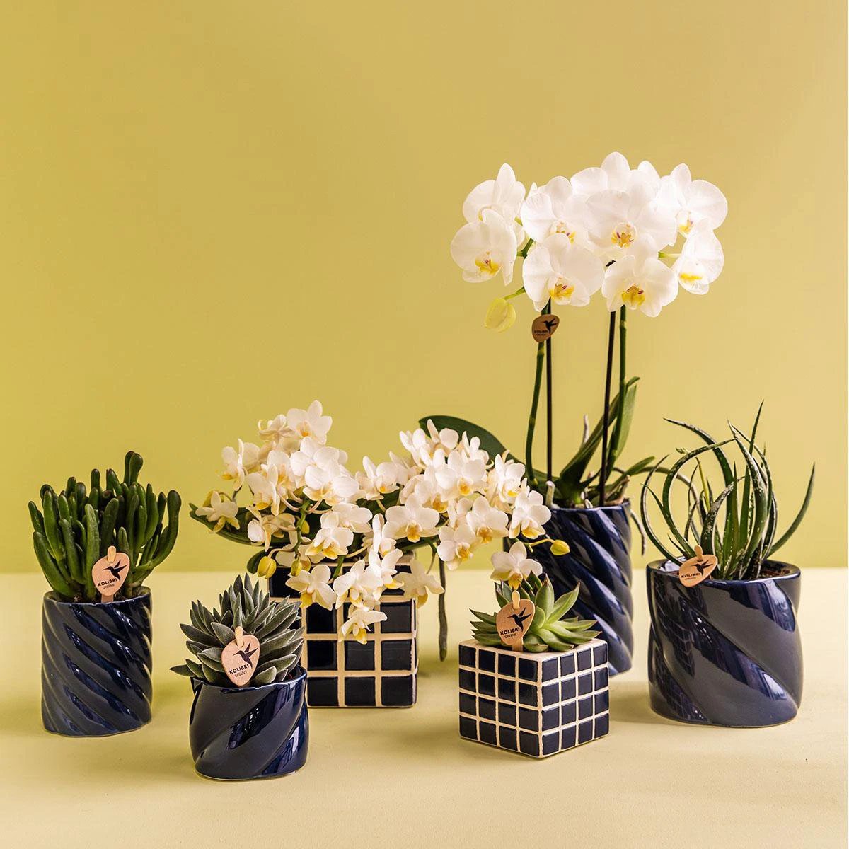 Kolibri Home | Candy sierpot | Hoog - Blue - Ø6cm by Kolibri Company