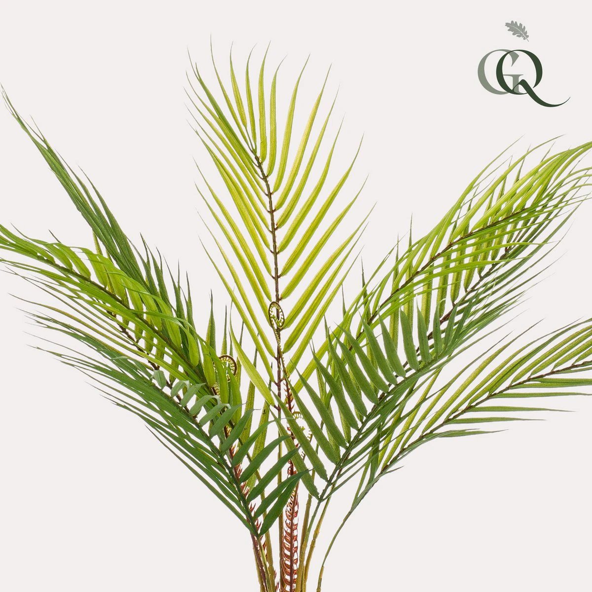 Art plant - Chamaedorea - Bergpalm - 50 cm by Green boutiQ