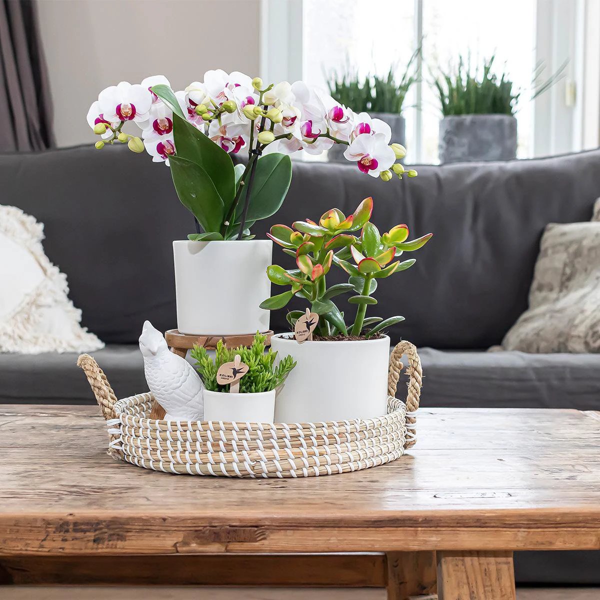Kolibri Home | Simplicity flowerpot - ceramic decorative pot - white - 6 cm by Kolibri Company
