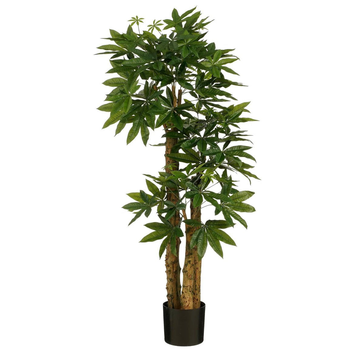 Artificial plant Pachira Green by Mica Decorations