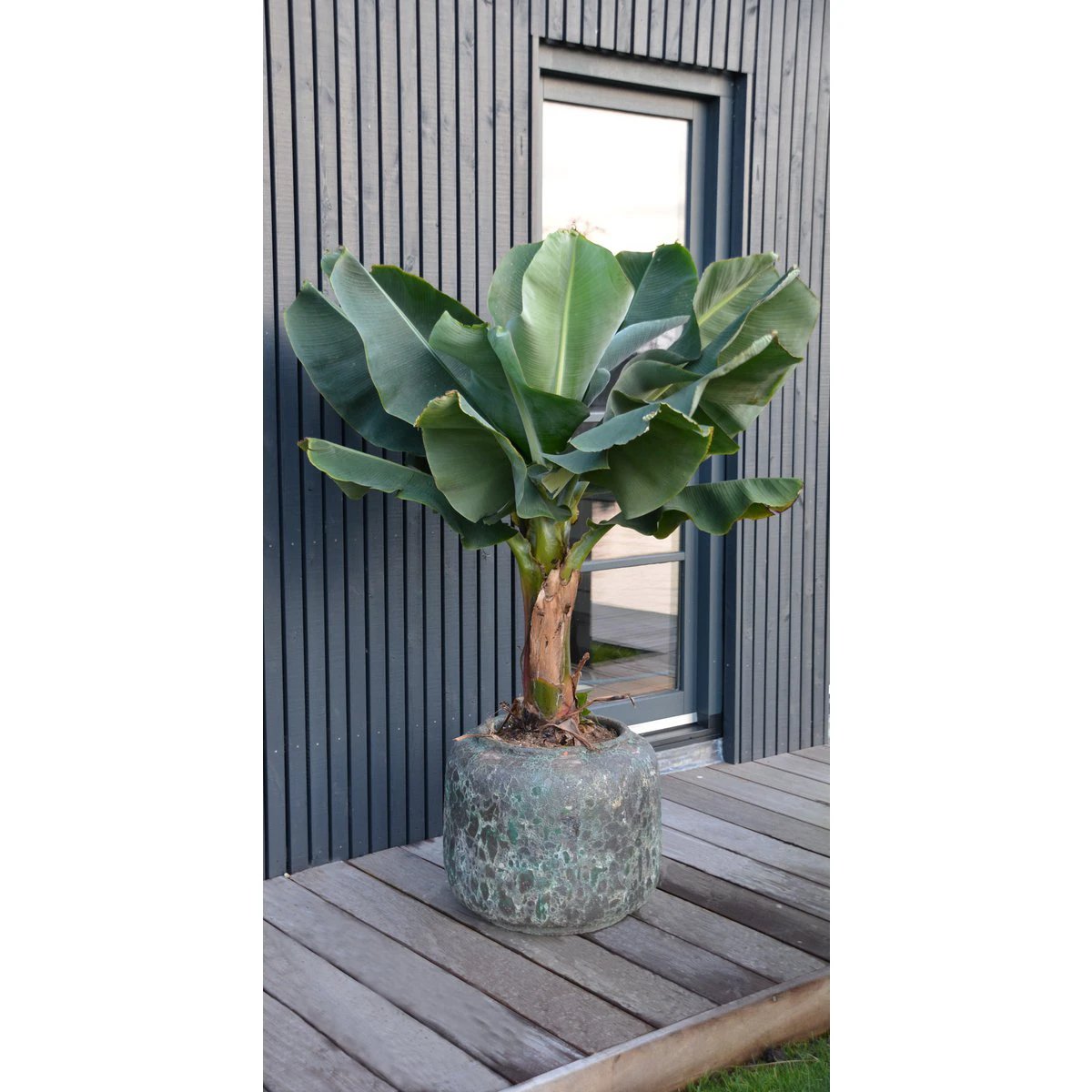 Plantenpot - Arenal relic jade by Vase The World