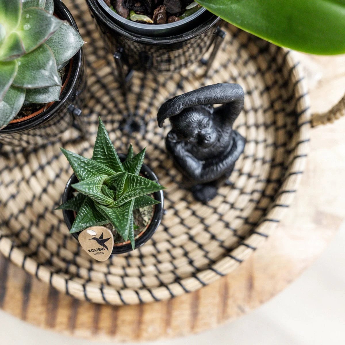 Hummingbird Home | Ornament - Decoration statue Sitting Monkey - Black by Kolibri Company